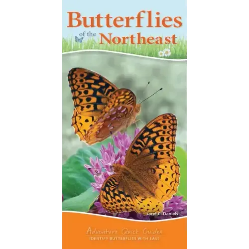 Butterflies of the Northeast: Identify Butterflies with Ease
