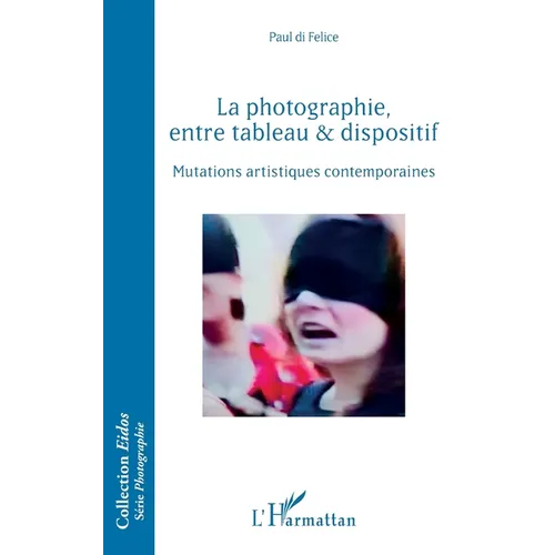 La photographie, entre tableau et dispositif: Mutations artistiques contemporaines