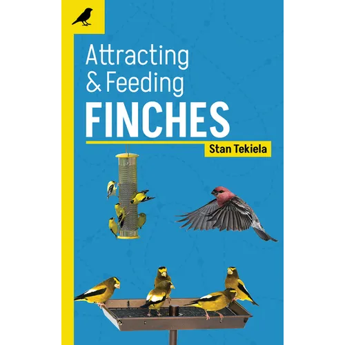Attracting & Feeding Finches