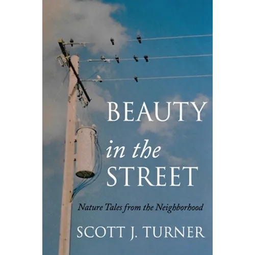 Beauty in the Street: Nature Tales from the Neighborhood