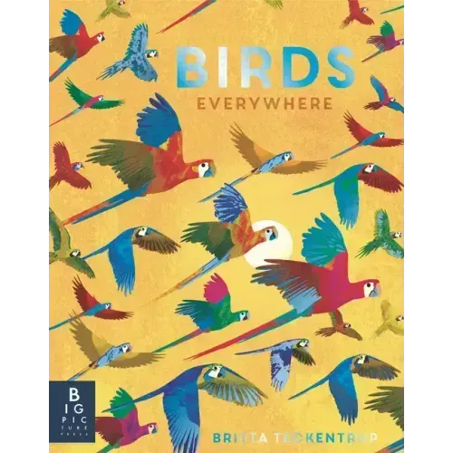 Birds Everywhere