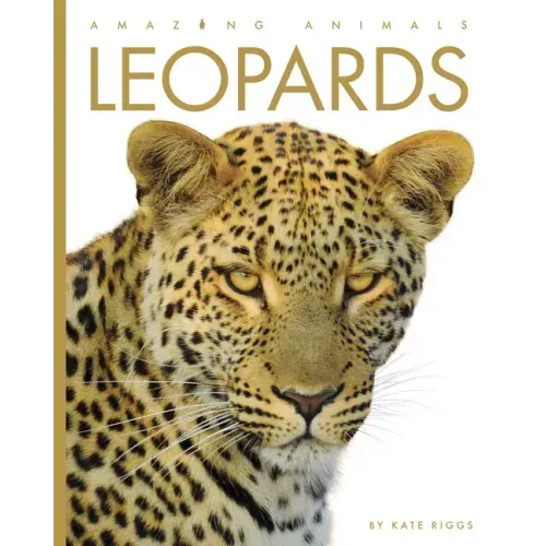 Leopards