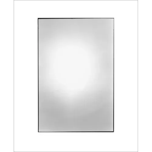 Zoe Leonard: Available Light