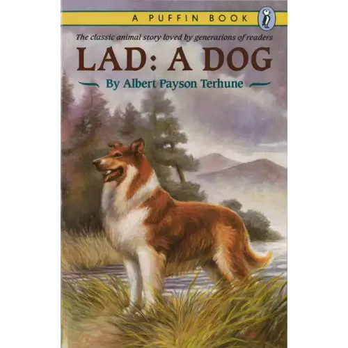 Lad: A Dog