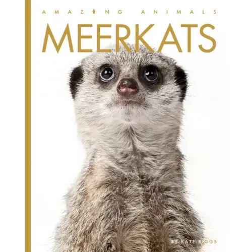 Meerkats