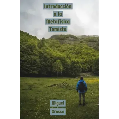 Introducción a la Metafísica Tomista