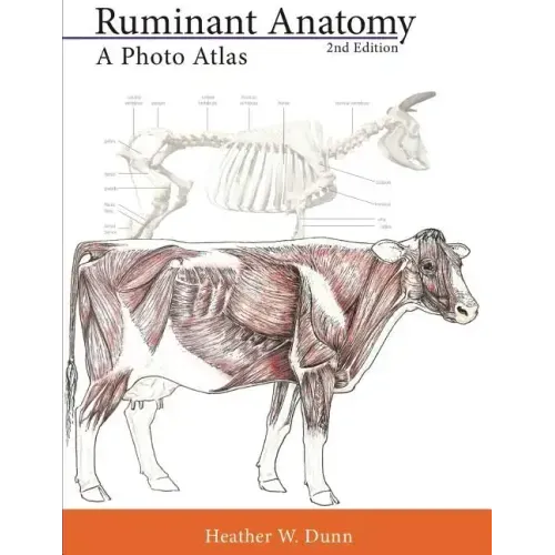 Ruminant Anatomy: A Photo Atlas