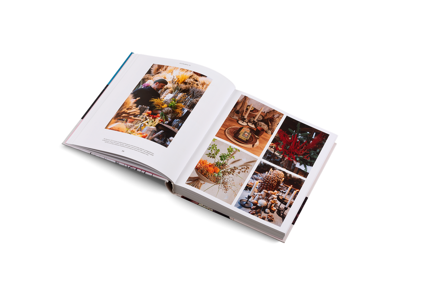 Ukraine Rising Book