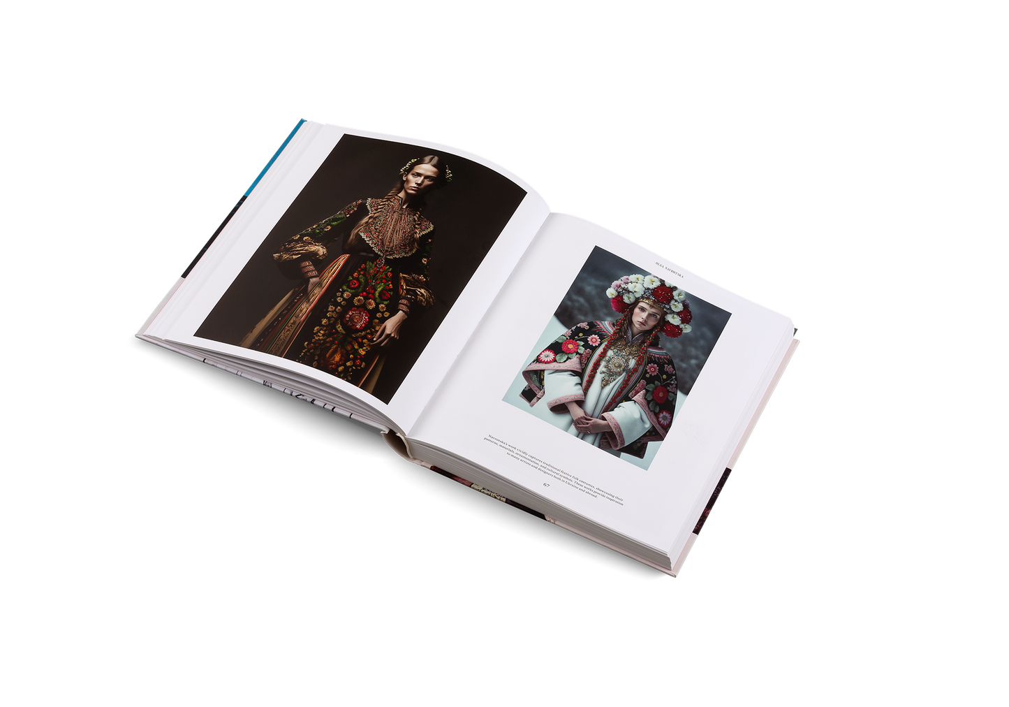 Ukraine Rising Book