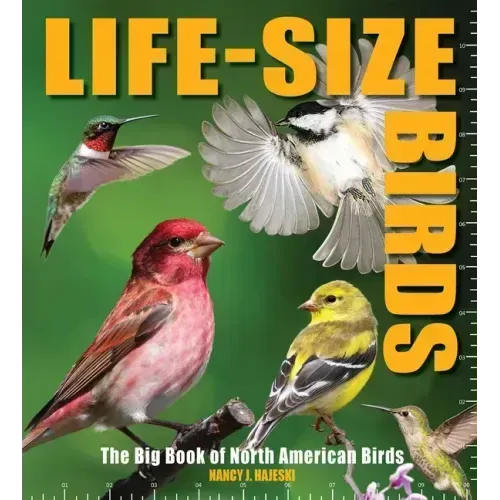 Life-Size Birds: The Big Book of North American Birds