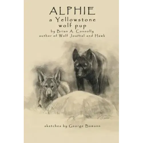 Alphie, a Yellowstone Wolf Pup