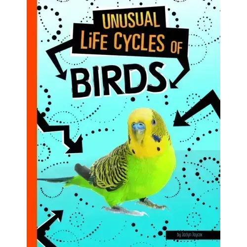 Unusual Life Cycles of Birds