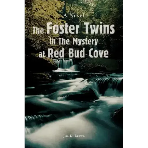 The Foster Twins In The Mystery at Red Bud Cove