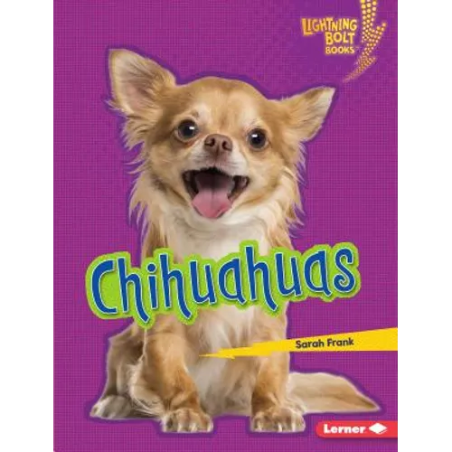 Chihuahuas