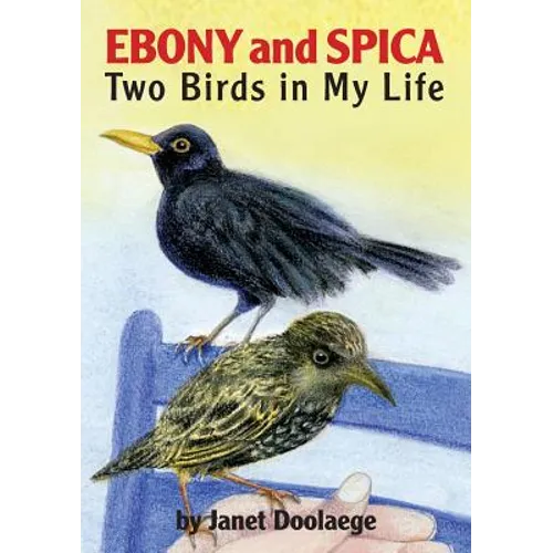 Ebony and Spica: Two Birds in My Life