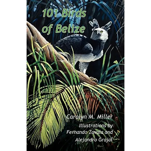 101 Birds of Belize