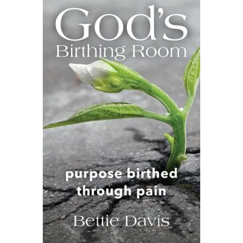 God's Birthing Room: Purpose Birthed Through Pain