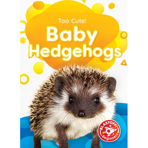 Baby Hedgehogs