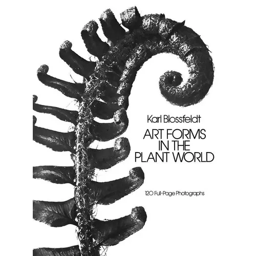 Art Forms in the Plant World