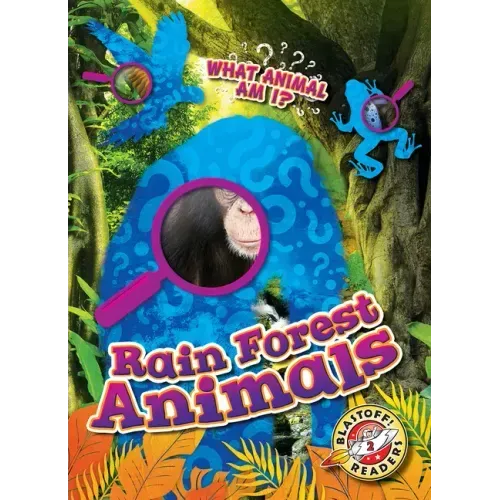 Rain Forest Animals