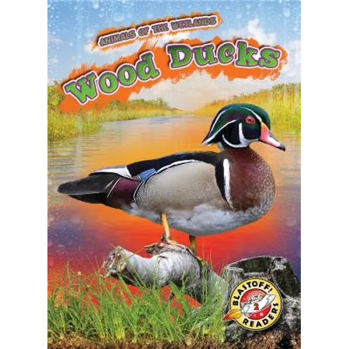 Wood Ducks