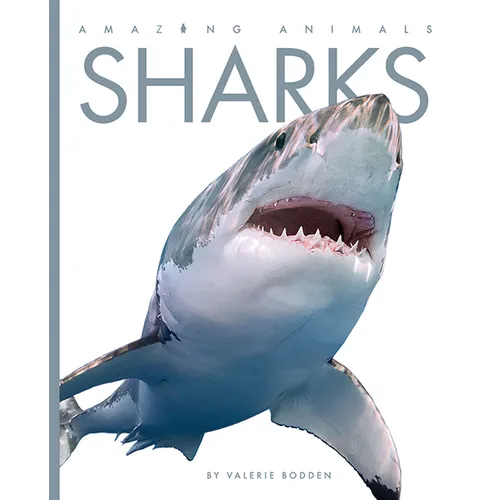 Sharks
