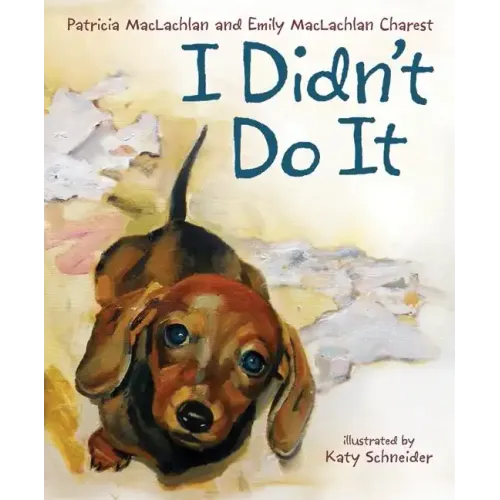 I Didn't Do It