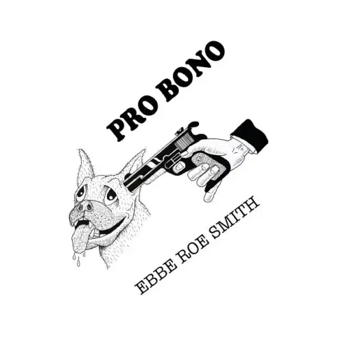 Pro Bono