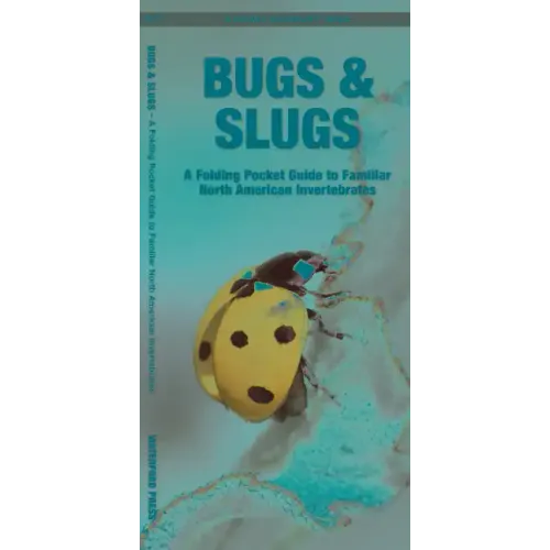 Bugs & Slugs: A Folding Pocket Guide to Familiar North American Invertebrates