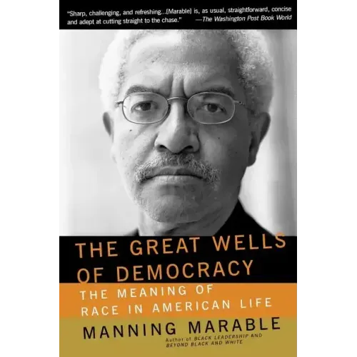 The Great Wells of Democracy: The Meaning of Race in American Life