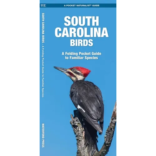 South Carolina Birds: A Folding Pocket Guide to Familiar Species