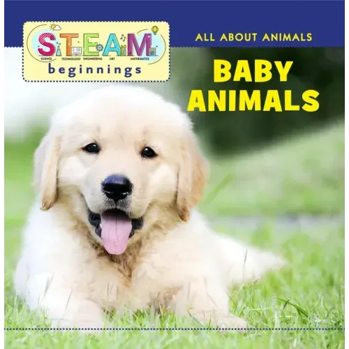 Baby Animals