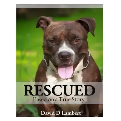 Rescued: Based on a True Dog Story