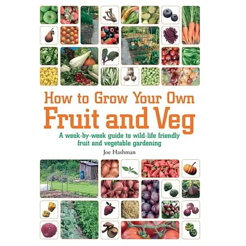 How To Grow Your Own Fruit and Veg