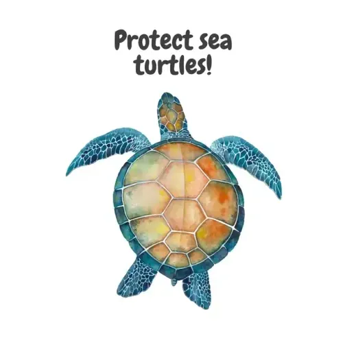 Protect sea turtles!
