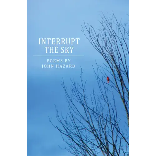 Interrupt the Sky