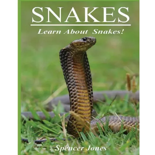 Snakes: Fun Facts & Amazing Pictures - Learn About Snakes