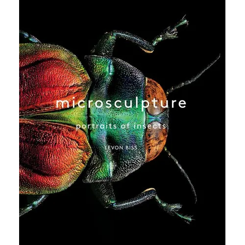 Microsculpture: Portraits of Insects