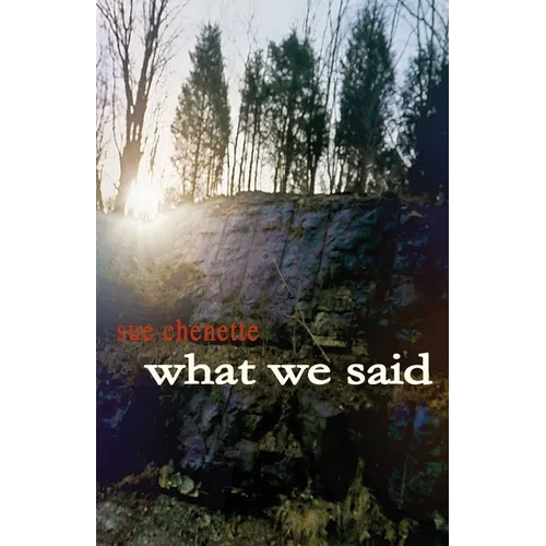 What We Said