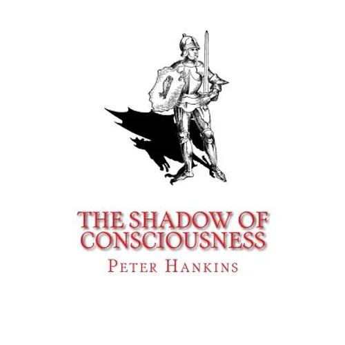 The Shadow of Consciousness: A Little Less Wrong