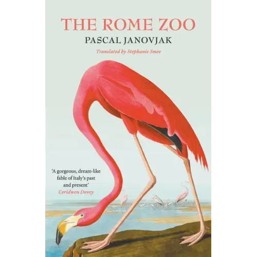 The Rome Zoo