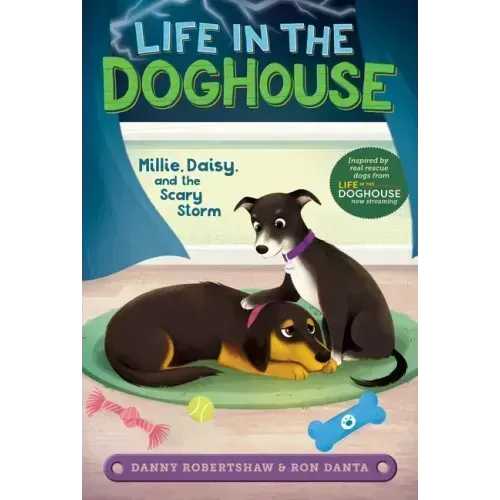 Millie, Daisy, and the Scary Storm