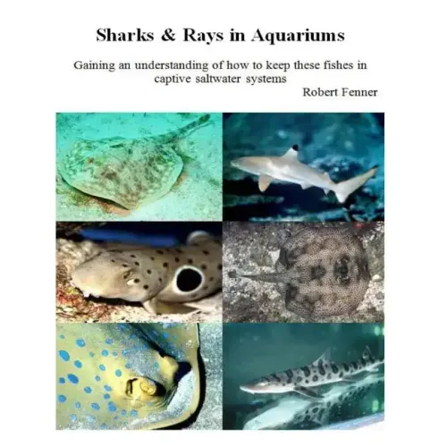 Sharks & Rays in Aquariums: Gaining an understanding of how to keep these fishes in captive saltwater systems