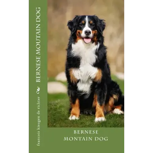 bernese moutain dog