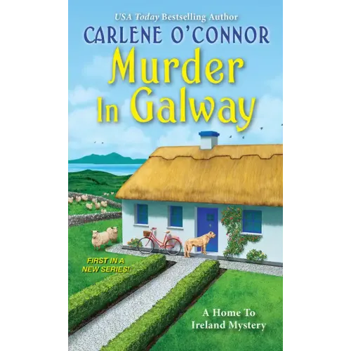 Murder in Galway