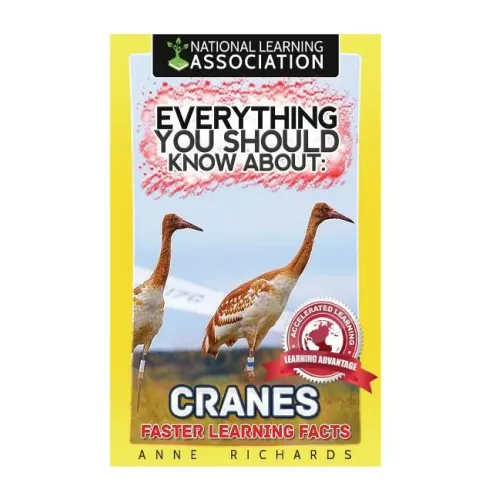 Everything You Should Know About: Cranes