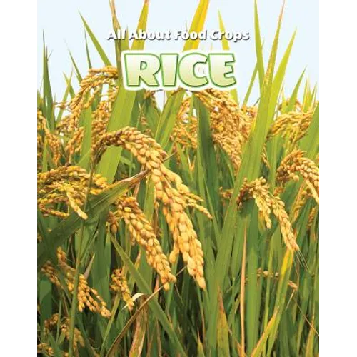 Rice