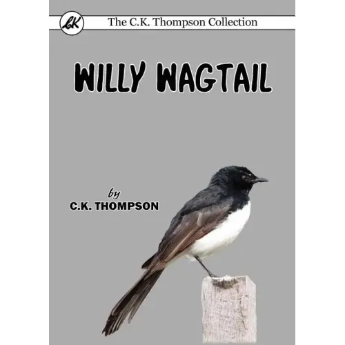 Willy Wagtail