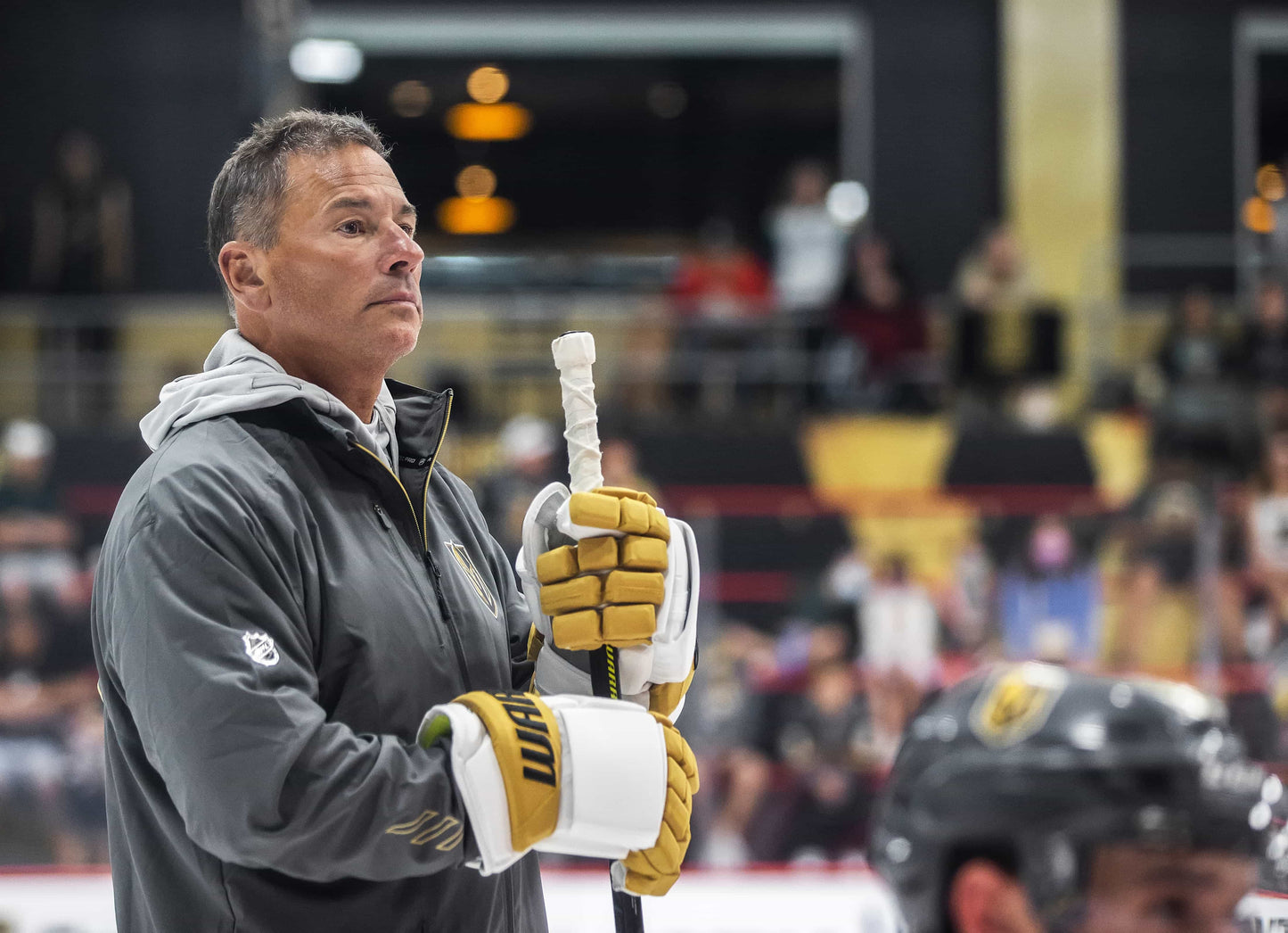 GOLDEN! The Story of the Vegas Golden Knights’ Stanley Cup Season Book