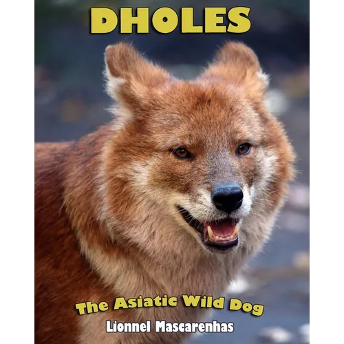 Dholes: The Asiatic Wild Dog